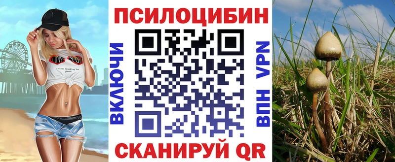 Купить где  Ипатово  Галлюциногенные грибы MAGIC MUSHROOMS 